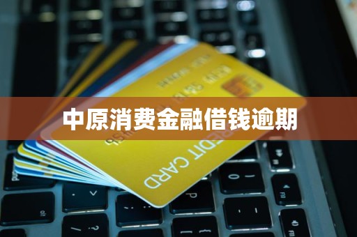 中原消費(fèi)金融逾期借款催收流程解析 金融機(jī)構(gòu)委托第三方處理的影響與應(yīng)對