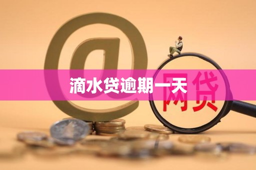 滴水貸逾期一天遭遇金融機(jī)構(gòu)委托 解析其影響與應(yīng)對策略